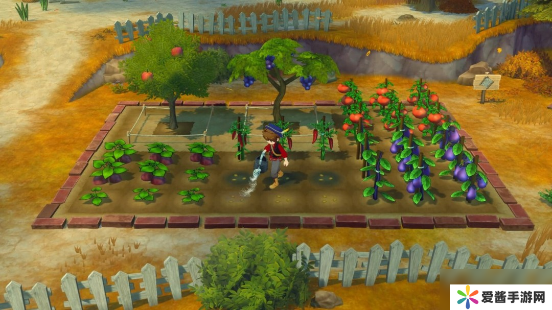 《牧場物語 來吧！風之繁華集市》上架Steam 首批截圖